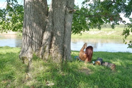 mermaid under the tree         