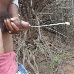 Bharat cock anantapur 