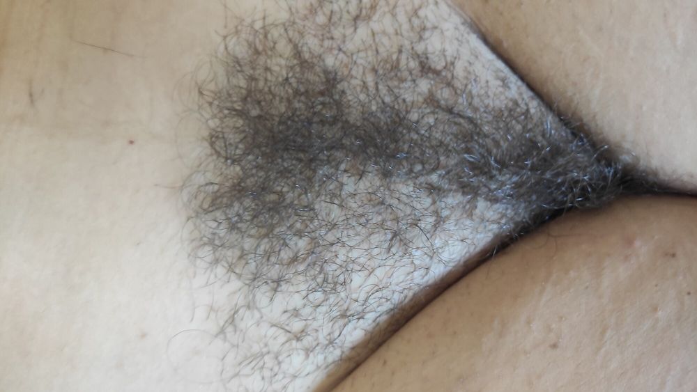 My Hairy Pussy #6