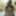 Free Lex Photos