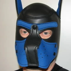 Hund