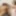 FEMOUTSEX.XXX: Alexis Morissett Debuts With A Bang