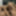 SEXUAL FANTASIES - SHARING DILDO AS A COUPLE BISEXUAL 2 #8