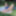 Outside of blonde cock sucking by the river #30