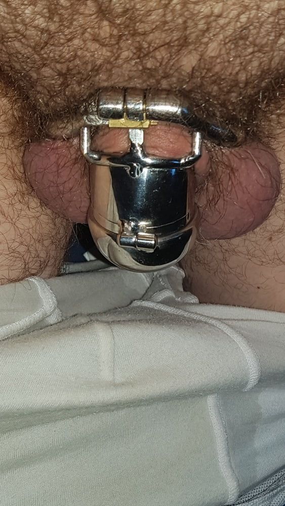Chastity cage #41