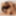Lola ebony bbw fucked by black cock for creampie #37