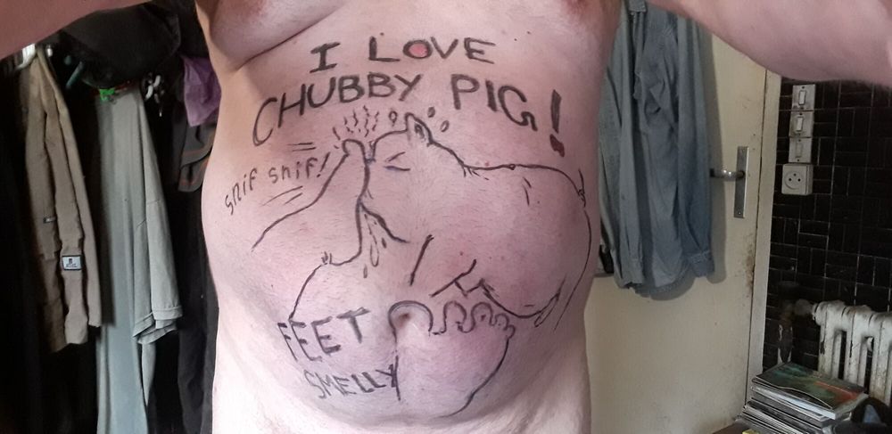 Chubby FAT PIG #12