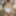 Logan fucks ebony coed Mercy