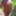 June 2019 nude outside Juin 2019  nu exterieur chez moi #18