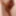 Tygra babe eat the two sides of large cumcumber. #6