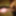Desi boy sex photos 