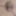 LOktober 23, 2024 Daily duty of the naked slave #5