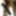 Photo 2016c #3