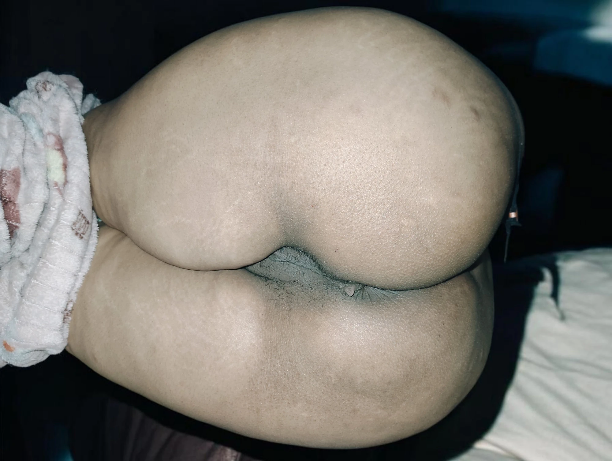 Big Round Ass