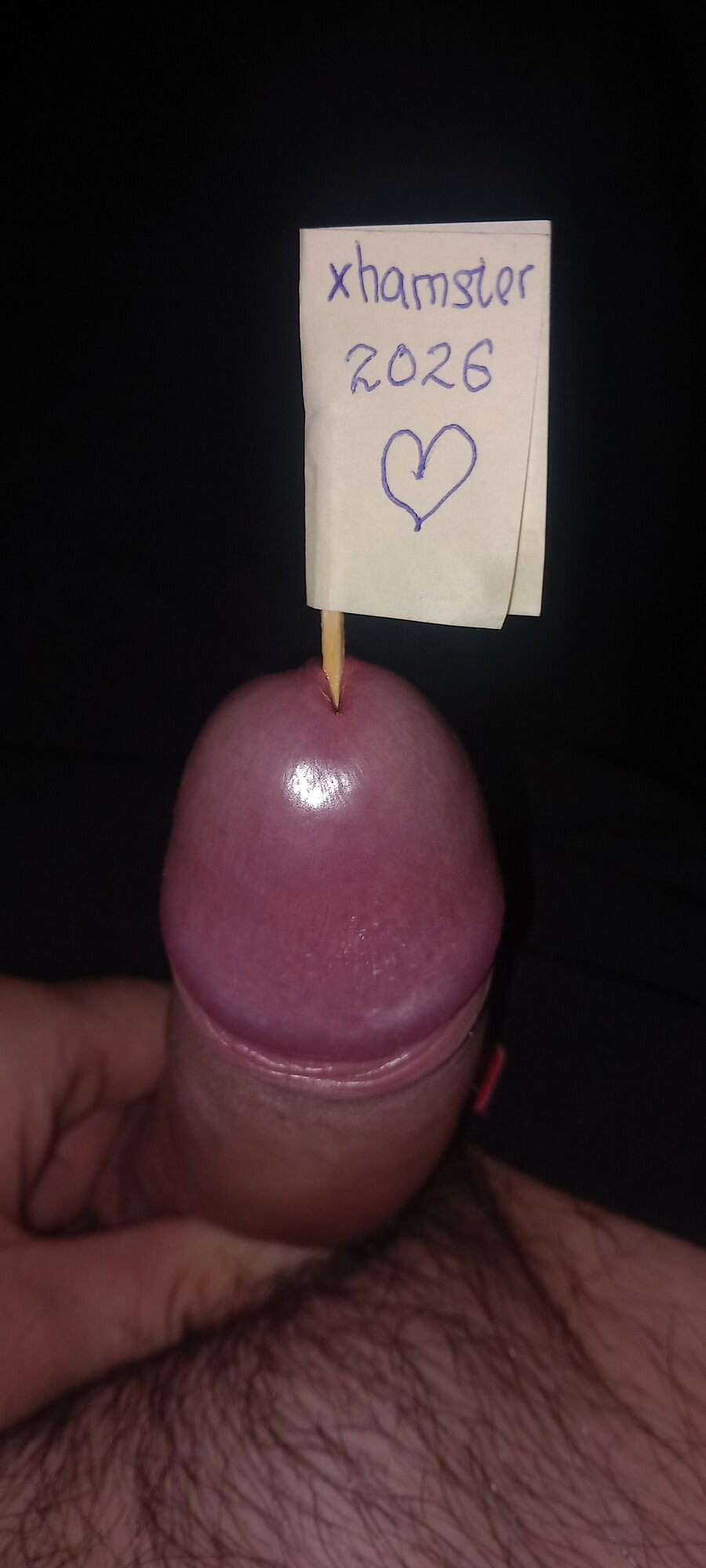 For xhamster  #2