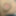 Inverted micro penis tiny dick pre cum