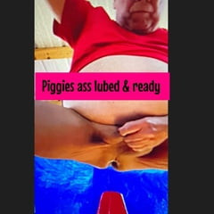 Piggy