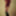 foxdude11 does nude show again #12