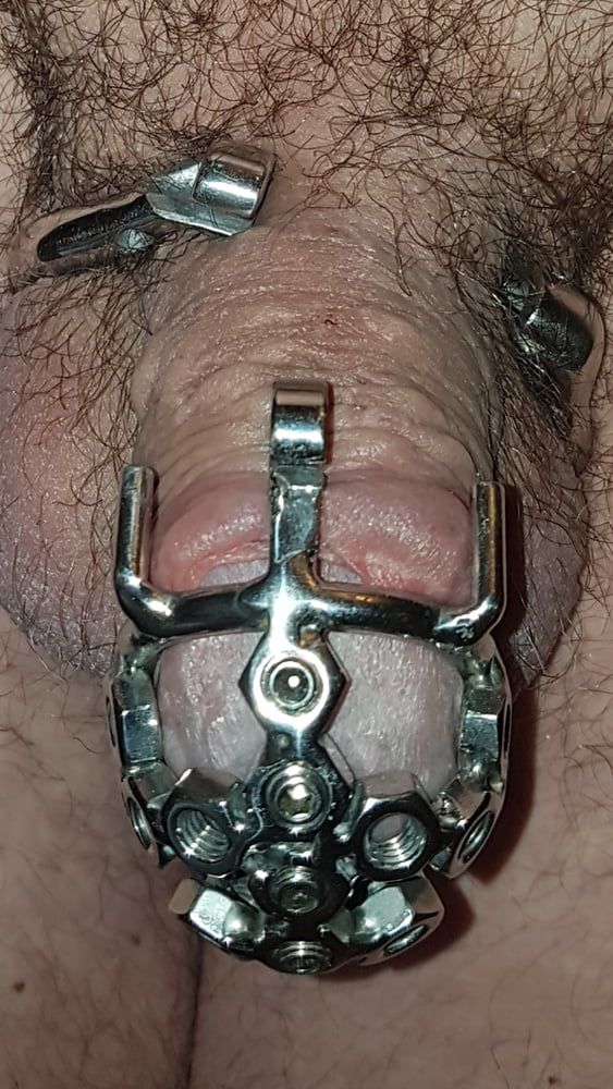 My best chastity cage #19