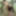 BIG TITS outdoor fuck couple