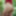 Shoot in the forest #27