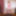 FEMOUT.XXX: The Naughty Elves #2
