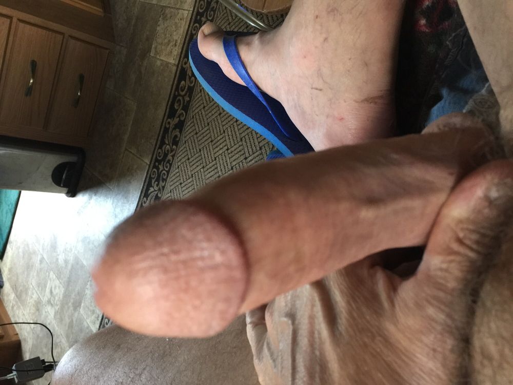 Cock #2