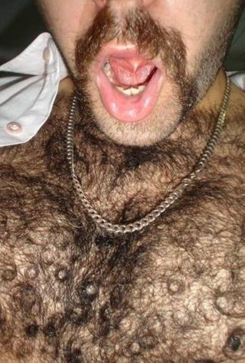 Stallion man
