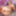 BOBSTGIRLS: Super Horny Madison