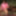 Dildo Sounding Outdoors 17