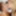 Hot lez babes get wild on couch