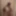 Chasey Lain Free Photos #4