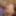 BBW Queeny Roxy&#039;s Facial Cumshots