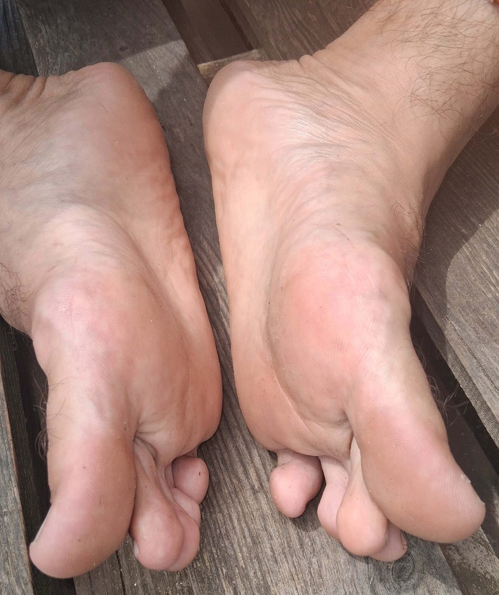 Piedi