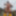 Nudes in the Work 74 #25