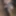 Handjob Cumshot