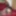  Trap - Travesti - Shemale - Crossdresser - Femboy - Sissy