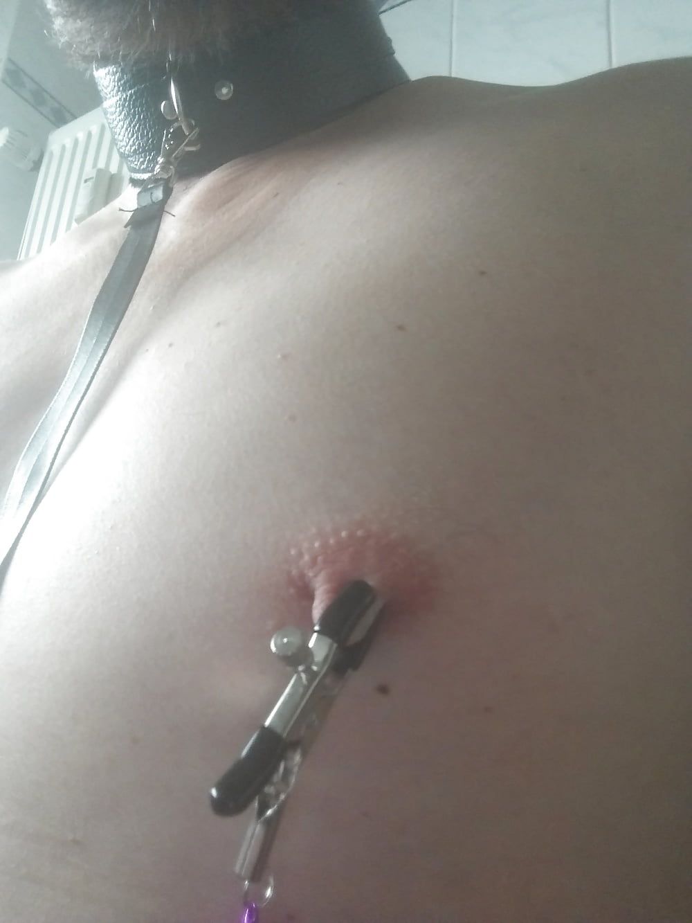 Nippleplay with Clamps #10