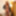 TRANSVR:バニアールにお辞儀を!