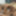 SEXUAL FANTASIES - SHARING DILDO AS A COUPLE BISEXUAL 2 #20