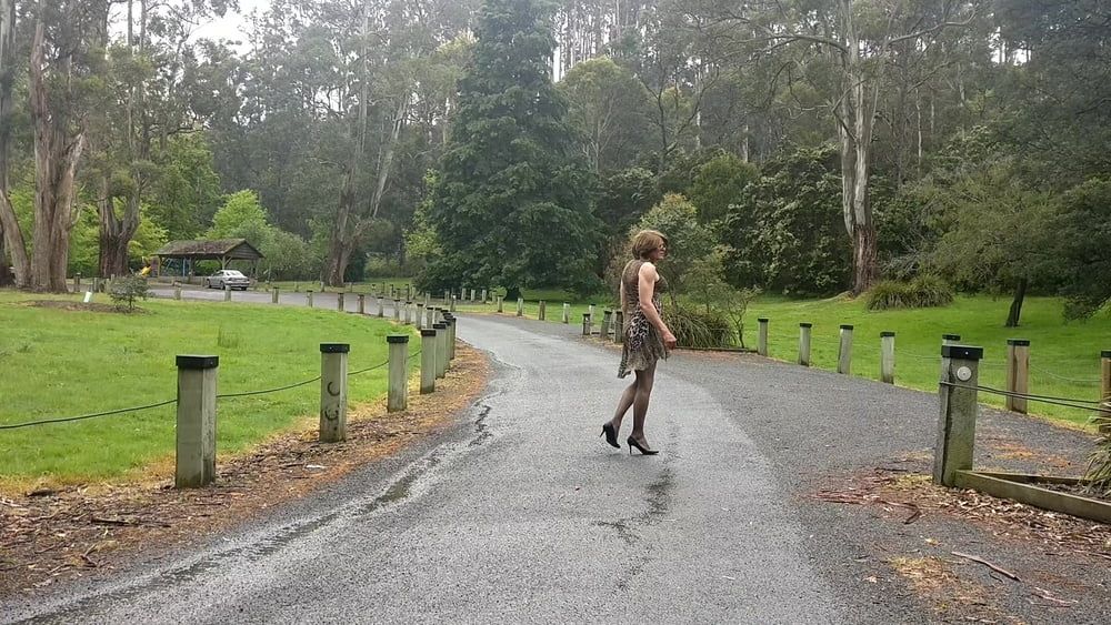 Crossdress Road trip leopard Print dress #27