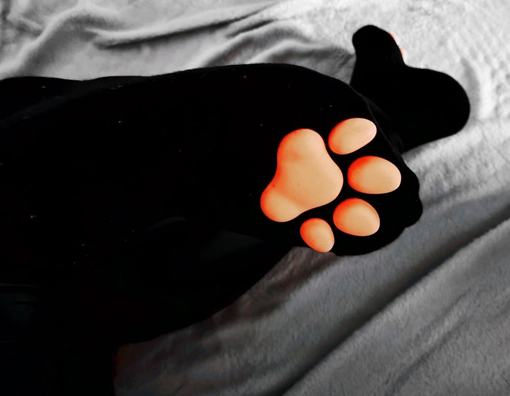 My sweet Paw socks #6