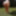 Watering the Garden - BBW ass on mature sexy MILF