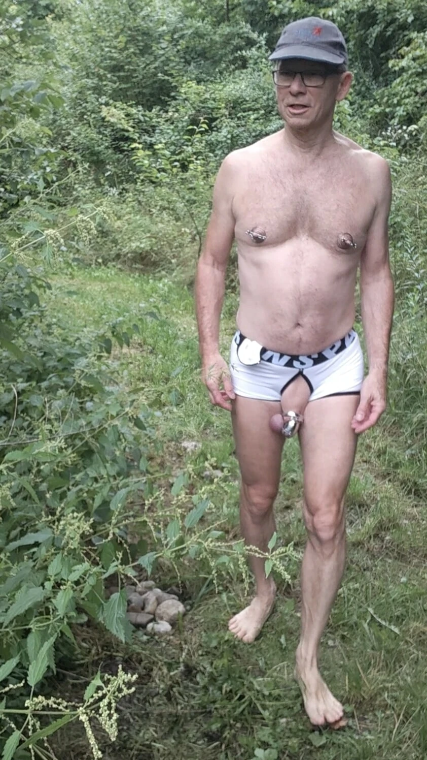 Nettles of disappointment #2
