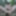 Tygra naked in the woods #44