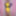 Joanie - Yellow Pencil Dress II #53