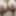 My Tits