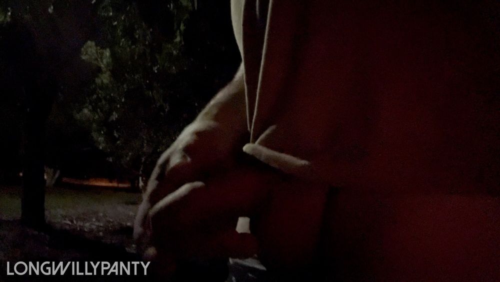 Straight guy goes flashing his dick in public park in this r #11