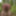 Fag Christoph Straubinger naked in the forest #22