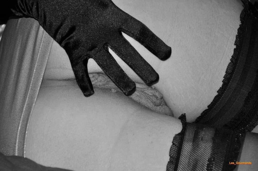 19TH Contribution #16
